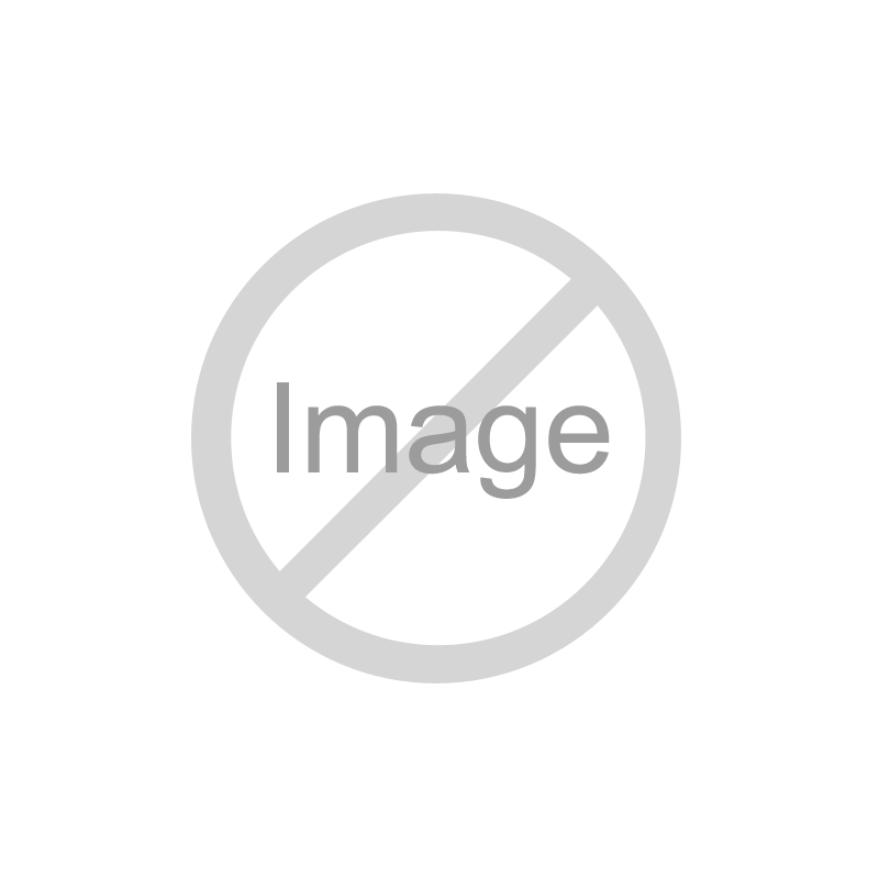 SHINY WHITE LOOSE POWDER EYESHADOW