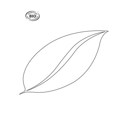 EAU THERMALE DE GAMARDE 100 ML