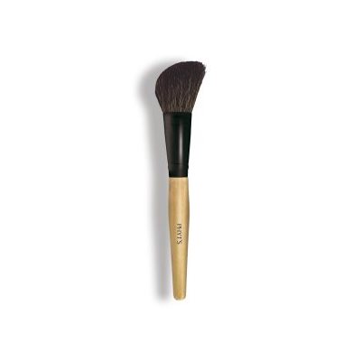 PINCEAU BLUSH & TEINT